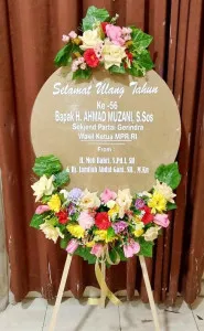 Ulang tahun Pelalawan